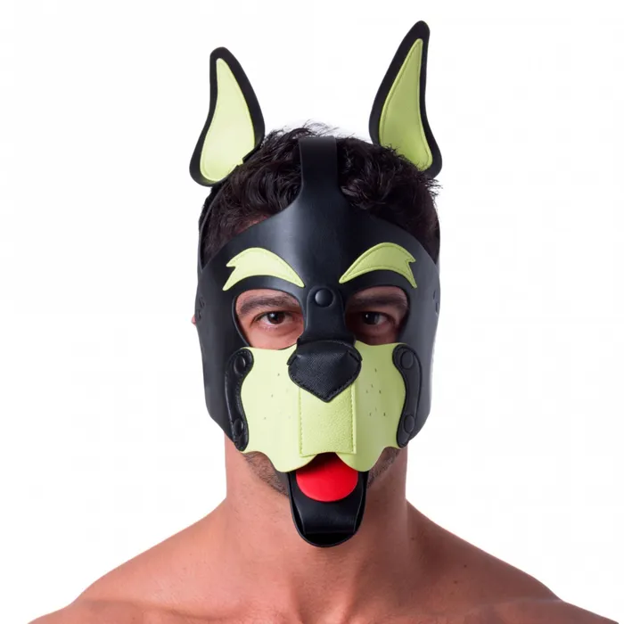 AYLI Vibrators Playful Pup Hood Multiple Colors