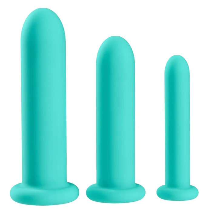 Cloud 9 Novelties Couples Cloud 9 Health Wellness Dilator Kit Your Path to Comfort and Relaxation