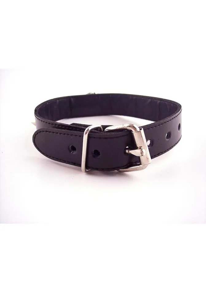 Male Sex Toys Rouge Rouge O Ring Studded Adjustable Leather Collar